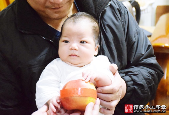 剃胎毛、滿月剃頭、嬰兒剃頭、嬰兒理髮、嬰兒剃髮、嬰兒剃胎毛、嬰兒滿月剃頭、寶寶剃頭、剃胎毛儀式、剃胎毛吉祥話、滿月剃頭儀式、滿月剃頭吉祥話、寶寶剃胎毛、寶寶滿月剃頭理髮、 新北新莊區剃胎毛、新北新莊區滿月剃頭、 新北新莊區嬰兒剃頭剃胎毛、新北新莊區嬰兒理髮、新北新莊區嬰兒剃髮、朱寶寶(新北新莊區到府嬰兒寶寶滿月剃頭理髮、免費到府嬰兒剃胎毛儀式吉祥話)。到府剃頭剃胎毛主持、專業拍照、DVD光碟、證書。★購買「臍帶章、肚臍章、胎毛筆刷印章」贈送：剃頭、收涎、抓周，三選一。2016.01.02 照片8